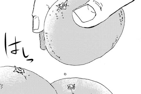 47.炬燵にみかん…。