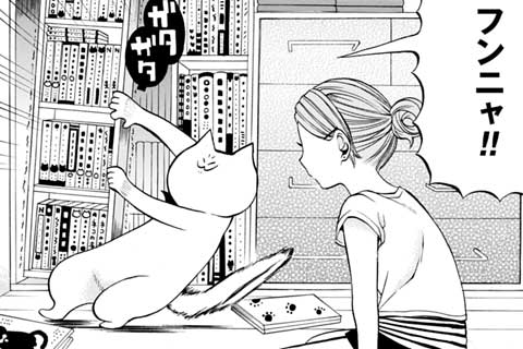 7.キレイな暮らし