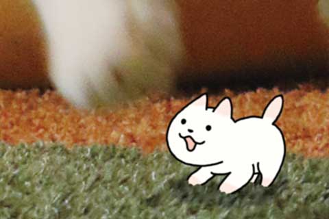 (完結)その29・その30