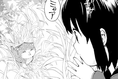 36.クサムラ的ミャーミャー