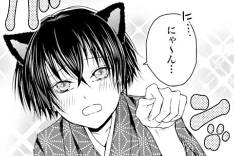 8.ねこ呼び出し作戦、決行!!
