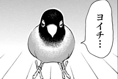 23.洋一とアオちゃん④